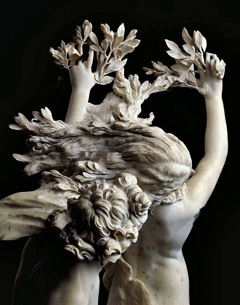 Ovid's Metamorphoses