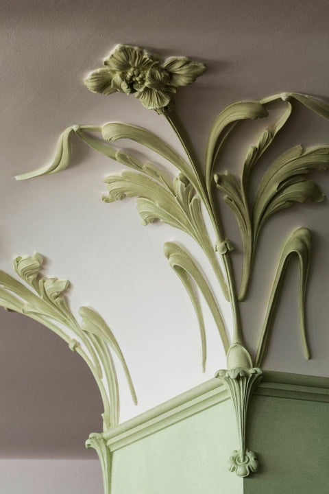 Nature-Inspired Motifs